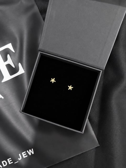 Aretes de Estrella de Mar Oro 10K Italiano